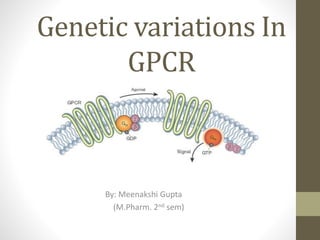 Genetic variations In
GPCR
By: Meenakshi Gupta
(M.Pharm. 2nd sem)
 
