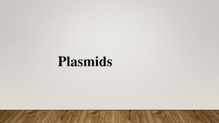 Plasmids
 