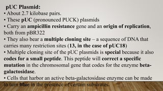 pUC Plasmid:
• About 2.7 kilobase pairs.
• These pUC (pronounced PUCK) plasmids
• Carry an ampicillin resistance gene and an origin of replication,
both from pBR322
• They also bear a multiple cloning site – a sequence of DNA that
carries many restriction sites (13, in the case of pUC18)
• Multiple cloning site of the pUC plasmids is special because it also
codes for a small peptide. This peptide will correct a specific
mutation in the chromosomal gene that codes for the enzyme beta-
galactosidase.
• Cells that harbor an active beta-galactosidase enzyme can be made
to turn blue in the presence of certain substrates.
 