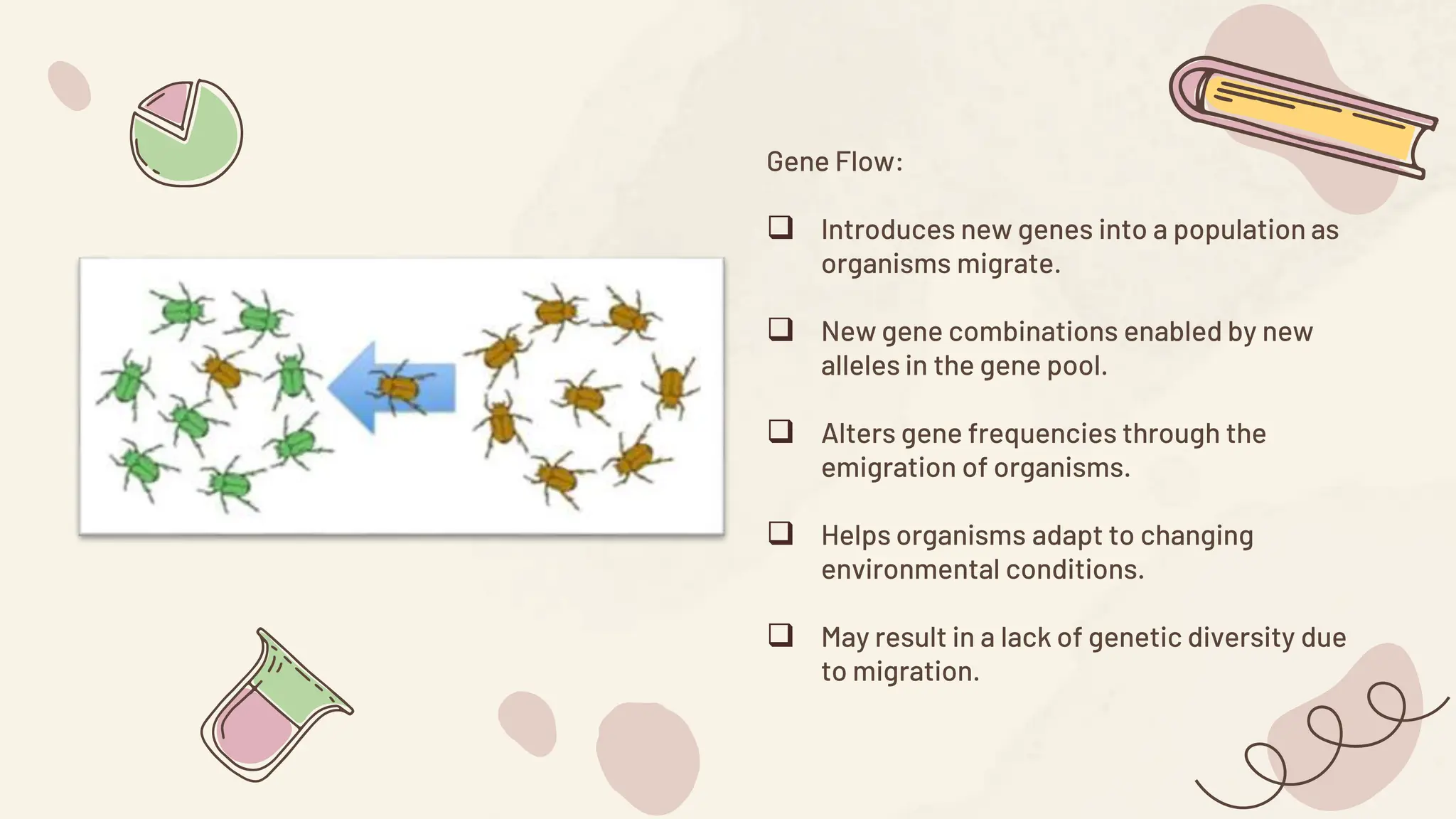 Gene Flow:
 Introduces new genes into a population as
organisms migrate.
 New gene combinations enabled by new
alleles in the gene pool.
 Alters gene frequencies through the
emigration of organisms.
 Helps organisms adapt to changing
environmental conditions.
 May result in a lack of genetic diversity due
to migration.
 
