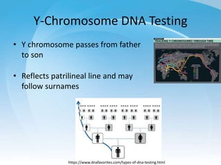 Direct to Consumer Test and Ancestry Testing - March 14, 2023