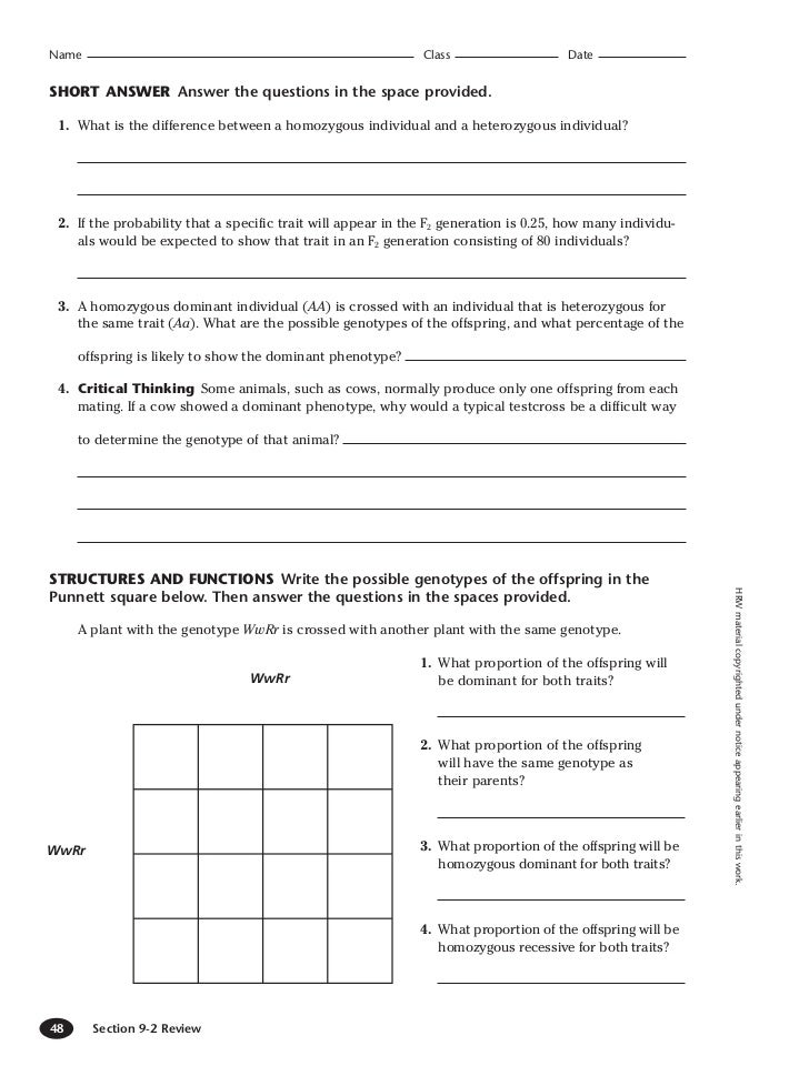 Printables Genetic Crosses Worksheet genetic crosses worksheet answer key davezan 9 2 abitlikethis