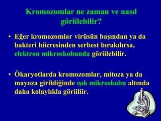 Kromozomlar ne zaman ve nasıl
            göriilebilir?
• Eğer kromozomlar virüsün başından ya da
  bakteri hiicresinden serbest bırakılırsa,
  elektron mikroskobunda göriilebilir.

• Ökaryotlarda kromozomlar, mitoza ya da
  mayoza girildiğinde ışık mikroskobu altında
  daha kolaylıkla göriiliir.
 