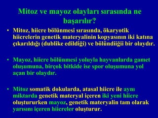 Mitoz ve mayoz olayları sırasında ne
                başarılır?
• Mitoz, hiicre bölünmesi sırasında, ökaryotik
  hiicrelerin genetik materyalinin kopyasının iki katına
  çıkarıldığı (dublike edildiği) ve bölündiiğii bir olaydır.

• Mayoz, hiicre bölünmesi yoluyla hayvanlarda gamet
  oluşumuna, birçok bitkide ise spor oluşumuna yol
  açan bir olaydır.

• Mitoz somatik dokularda, atasal hiicre ile aynı
  miktarda genetik materyal içeren iki yeni hiicre
  oluştururken mayoz, genetik materyalin tam olarak
  yarısını içeren hiicreler oluşturur.
 