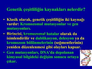 Genetik çeşitliliğin kaynakları nelerdir?

    • Klasik olarak, genetik çeşitliliğin iki kaynağı
      vardır: Kromozomal mutasyonlar ve gen
      mutasyonları.
    • Birincisi, kromozomal hatalar olarak da
Gen mut:!syonlan, DNA'da depolanan kimyasal bilgideki de­gi~im sonucu ortaya r;1kar.


      isimlendirilir ve dublikasyon, delesyon ya da
      kromozom böliinmelerinin (seğmentlerinin)
      yeniden diizenlenmesi gibi olayları kapsar.
    • Gen mutasyonları, DNA'da depolanan
      kimyasal bilgideki değişim sonucu ortaya
      çıkar.
 