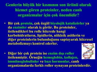 Genlerin biiyiik bir kısmının son iiriinii olarak
    hizmet gören proteinler, neden canlı
      organizmalar için çok önemlidir?
• Bir çok protein, çok özgiil biyolojik katalizörler ya
  da enzimler olarak iş göriir. Bu proteinler,
  iistlendikleri bu rolle hiicrede hangi
  karbohidratların, lipidlerin, niikleik asitlerin ve
  diğer proteinlerin bulunduğunu saptayarak hiicresel
  metabolizmayı kontrol ederler.

• Diğer bir çok protein ise enzim dışı roller
  iistlenmiştir. Örneğin hemoglobin, kollajen,
  immiinoglobulinler ve bazı hormonlar, canlı
  organizmalarda farklı roller oynayan proteinlerdir.
 