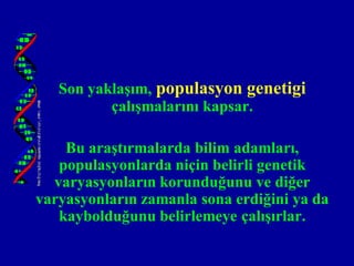 Son yaklaşım, populasyon genetigi
          çalışmalarını kapsar.

    Bu araştırmalarda bilim adamları,
   populasyonlarda niçin belirli genetik
  varyasyonların korunduğunu ve diğer
varyasyonların zamanla sona erdiğini ya da
   kaybolduğunu belirlemeye çalışırlar.
 