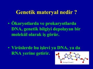 Genetik materyal nedir ?
• Ökaryotlarda ve prokaryotlarda
  DNA, genetik bilgiyi depolayan bir
  molekül olarak iş görür.

• Virüslerde bu işlevi ya DNA, ya da
  RNA yerine getirir.
 
