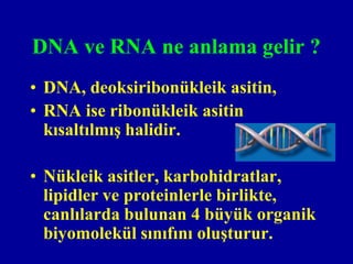 DNA ve RNA ne anlama gelir ?
• DNA, deoksiribonükleik asitin,
• RNA ise ribonükleik asitin
  kısaltılmış halidir.

• Nükleik asitler, karbohidratlar,
  lipidler ve proteinlerle birlikte,
  canlılarda bulunan 4 büyük organik
  biyomolekül sınıfını oluşturur.
 