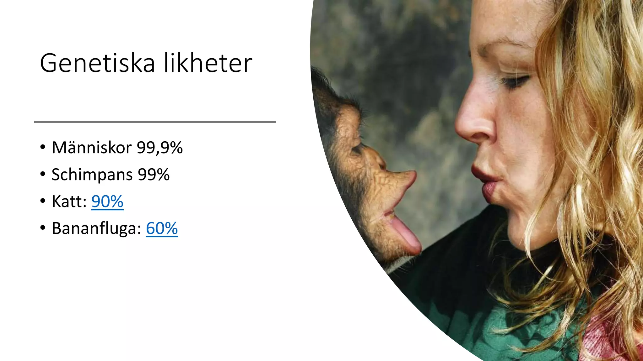 Genetiska likheter
• Människor 99,9%
• Schimpans 99%
• Katt: 90%
• Bananfluga: 60%
 