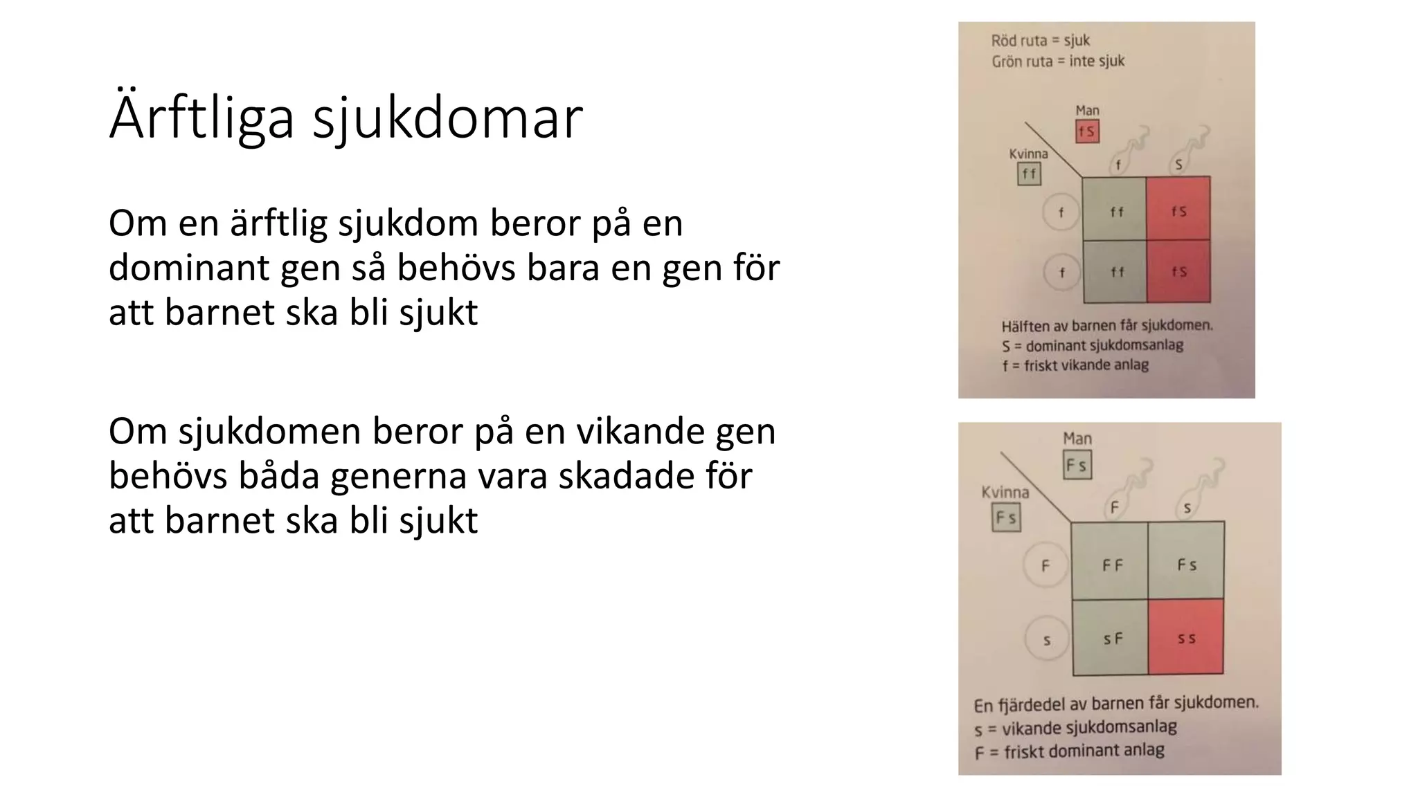 Ärftliga sjukdomar
Om en ärftlig sjukdom beror på en
dominant gen så behövs bara en gen för
att barnet ska bli sjukt
Om sjukdomen beror på en vikande gen
behövs båda generna vara skadade för
att barnet ska bli sjukt
 