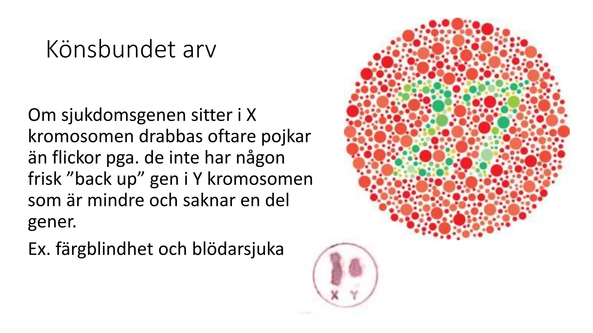 Könsbundet arv
Om sjukdomsgenen sitter i X
kromosomen drabbas oftare pojkar
än flickor pga. de inte har någon
frisk ”back up” gen i Y kromosomen
som är mindre och saknar en del
gener.
Ex. färgblindhet och blödarsjuka
 