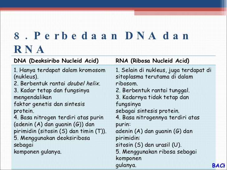 Sebutkan 6 Perbedaan Antara Dna Dan Rna Dna Informasi Sebutkan 6 Perbedaan Antara Dna Dan Rna Dna Informasi
