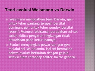 Teori evolusi Weismann vs Darwin
 Weismann menguatkan teori Darwin, gen
untuk leher panjang jerapah bersifat
dominan, gen untuk leher pendek bersifat
resesif. Menurut Weissman perubahan sel-sel
tubuh akibat pengaruh lingkungan tidak
diwariskan pada keturunannya.
 Evolusi menyangkut pewarisan gen-gen
melalui sel-sel kelamin. Hal ini bermakna
bahwa evolusi berkaitan dengan gejala
seleksi alam terhadap faktor-faktor genetik.
 