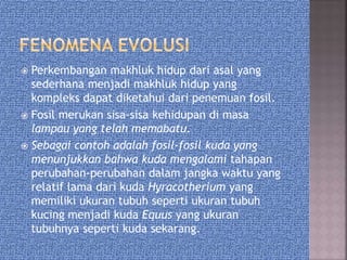  Perkembangan makhluk hidup dari asal yang
sederhana menjadi makhluk hidup yang
kompleks dapat diketahui dari penemuan fosil.
 Fosil merukan sisa-sisa kehidupan di masa
lampau yang telah memabatu.
 Sebagai contoh adalah fosil-fosil kuda yang
menunjukkan bahwa kuda mengalami tahapan
perubahan-perubahan dalam jangka waktu yang
relatif lama dari kuda Hyracotherium yang
memiliki ukuran tubuh seperti ukuran tubuh
kucing menjadi kuda Equus yang ukuran
tubuhnya seperti kuda sekarang.
 