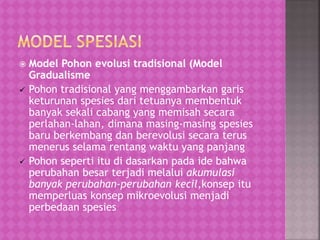  Model Pohon evolusi tradisional (Model
Gradualisme
 Pohon tradisional yang menggambarkan garis
keturunan spesies dari tetuanya membentuk
banyak sekali cabang yang memisah secara
perlahan-lahan, dimana masing-masing spesies
baru berkembang dan berevolusi secara terus
menerus selama rentang waktu yang panjang
 Pohon seperti itu di dasarkan pada ide bahwa
perubahan besar terjadi melalui akumulasi
banyak perubahan-perubahan kecil,konsep itu
memperluas konsep mikroevolusi menjadi
perbedaan spesies
 