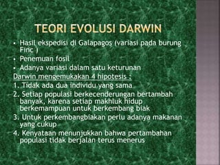  Hasil ekspedisi di Galapagos (variasi pada burung
Finc )
 Penemuan fosil
 Adanya variasi dalam satu keturunan
Darwin mengemukakan 4 hipotesis :
1. Tidak ada dua individu yang sama
2. Setiap populasi berkecenderungan bertambah
banyak, karena setiap makhluk hidup
berkemampuan untuk berkembang biak
3. Untuk perkembangbiakan perlu adanya makanan
yang cukup
4. Kenyataan menunjukkan bahwa pertambahan
populasi tidak berjalan terus menerus
 