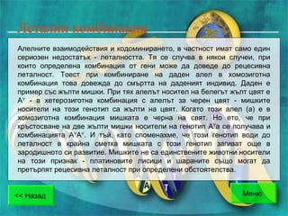 Genetika | PPT