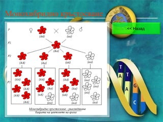 Genetika | PPT