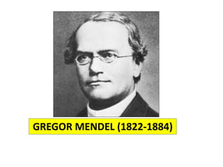 GREGOR MENDEL (1822-1884)
 
