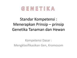 Standar Kompetensi :
Menerapkan Prinsip – prinsip
Genetika Tanaman dan Hewan
Kompetensi Dasar :
Mengklasifikasikan Gen, Kromosom
 