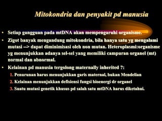 Mitokondria dan penyakit pd manusia
• Setiap gangguan pada mtDNA akan mempengaruhi organisme.
• Zigot banyak mengandung mitokondria, bila hanya satu yg mengalami
mutasi --> dapat diminimisasi oleh non mutan. Heteroplasmi:organisme
yg menunjukkan adanya sel-sel yang memiliki campuran organel (mt)
normal dan abnormal.
• Kelainan pd manusia tergolong maternally inherited ?:
1. Penurunan harus menunjukkan garis maternal, bukan Mendelian
2. Kelainan menunjukkan defisiensi fungsi bioenergi dr organel
3. Suatu mutasi genetik khusus pd salah satu mtDNA harus diketahui.
 