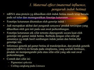 1. Maternal effect (maternal influence,
pengaruh induk betina)
• mRNA atau protein yg dihasilkan oleh induk betina masih tetap berada
pada sel telur dan memngarahkan fenotipe keturunan.
• Fenotipe keturunan ditentukan oleh genotip induk 
• Jadi merupakan akibat dari pengaruh senyawa/ produk tersimpan yang
dihasilkan oleh gen inti pada saat awal perkembangan.
• Fenotipe keturunan utk sifat tertentu dipengaruhi secara kuat oleh
genotipe inti gamet induk betina. Berbeda dengan sifat-sifat pd
umumnya yg mrpk hasil sumbangan induk jantan dan betina thd
genotipe inti.
• Informasi genetik pd gamet betina di transkripsikan, dan produk genetik
(protein/mRNA) ini berada pada sitoplasma, yang setelah fertilisasi,
produk ini mempengaruhi pola atau sifat-sifat yang ada saat awal
perkembangan.
• Contoh dari sifat ini:
– Pigmentasi ephestia
– Coiling cangkang pada Limnaea
 