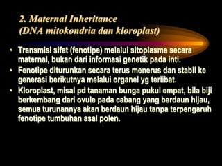 2. Maternal Inheritance
(DNA mitokondria dan kloroplast)
• Transmisi sifat (fenotipe) melalui sitoplasma secara
maternal, bukan dari informasi genetik pada inti.
• Fenotipe diturunkan secara terus menerus dan stabil ke
generasi berikutnya melalui organel yg terlibat.
• Kloroplast, misal pd tanaman bunga pukul empat, bila biji
berkembang dari ovule pada cabang yang berdaun hijau,
semua turunannya akan berdaun hijau tanpa terpengaruh
fenotipe tumbuhan asal polen.
 