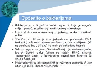 www.company.com
Općenito o bakterijama
 