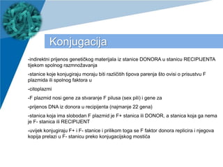 www.company.com
Konjugacija
-indirektni prijenos genetičkog materijala iz stanice DONORA u stanicu RECIPIJENTA
tijekom spo...