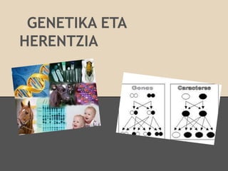 GENETIKA ETA
HERENTZIA
 