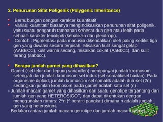 2. Penurunan Sifat Poligenik (Polygenic Inheritance)
Berhubungan dengan karakter kuantitatif
Variasi kuantitatif biasanya mengindikasikan penurunan sifat poligenik,
yaitu suatu pengaruh tambahan sebesar dua gen atau lebih pada
sebuah karakter fenotipik (kebalikan dari pleiotropi).
Contoh : Pigmentasi pada manusia dikendalikan oleh paling sedikit tiga
gen yang diwarisi secara terpisah. Misalkan kulit sangat gelap
(AABBCC), kulit warna sedang, misalkan coklat (AaBbCc), dan kulit
terang (aabbcc).
Berapa jumlah gamet yang dihasilkan?
- Gamet (sel telur dan tepung sari/polen) mempunyai jumlah kromosom
setengah dari jumlah kromosom sel induk (sel somatik/sel badan). Pada
organisme diploid, jumlah kromosom sel somatik adalah dua set (2n)
sedangkan jumlah kromosom pada gamet adalah satu set (n).
- Jumlah macam gamet yang dihasilkan dari suatu genotipe tergantung dari
jumlah gen yang HETEROSIGOT, dan dapat ditentukan dengan
menggunakan rumus: 2^n (^ berarti pangkat) dimana n adalah jumlah
gen yang heterosigot.
- Bedakan antara jumlah macam genotipe dan jumlah macam gamet.
 