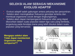 SELEKSI ALAM SEBAGAI MEKANISME
EVOLUSI ADAPTIF
Evolusi adaptif aalah gabungan antara peluang dan penyortiran.
Seleksi alam meningkatkan frekuensi genotipe tertentu dan
membuat organisme cocok dengan lingkungannya.
Seleksi alam dapat mempengaruhi frekuensi sifat yang dapat
diturunkan dalam suatu populasi dalam tiga cara yang berbeda,
tergantung pada fenotipe mana yang lebih disukai dalam suatu
populasi yang bervariasi.
Mengapa seleksi alam
Tidak dapat membentuk
Organisme yang
sempurna??
 