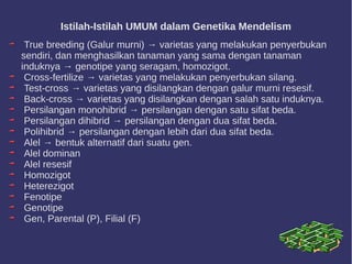 Istilah-Istilah UMUM dalam Genetika Mendelism
True breeding (Galur murni) → varietas yang melakukan penyerbukan
sendiri, dan menghasilkan tanaman yang sama dengan tanaman
induknya → genotipe yang seragam, homozigot.
Cross-fertilize → varietas yang melakukan penyerbukan silang.
Test-cross → varietas yang disilangkan dengan galur murni resesif.
Back-cross → varietas yang disilangkan dengan salah satu induknya.
Persilangan monohibrid → persilangan dengan satu sifat beda.
Persilangan dihibrid → persilangan dengan dua sifat beda.
Polihibrid → persilangan dengan lebih dari dua sifat beda.
Alel → bentuk alternatif dari suatu gen.
Alel dominan
Alel resesif
Homozigot
Heterezigot
Fenotipe
Genotipe
Gen, Parental (P), Filial (F)
 