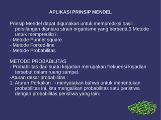 APLIKASI PRINSIP MENDEL
Prinsip Mendel dapat digunakan untuk memprediksi hasil
persilangan diantara strain organisme yang berbeda.3 Metode
untuk memprediksi :
- Metode Punnet square
- Metode Forked-line
- Metode Probabilitas
METODE PROBABILITAS
- Probabilitas dari suatu kejadian merupakan frekuensi kejadian
tersebut dalam ruang sampel.
-Aturan dasar probabilitas :
1. Aturan Perkalian →menyatakan bahwa untuk menentukan
probabilitas ini, kita mengalikan probabilitas satu peristiwa
dengan probabilitas peristiwa yang lain.
 