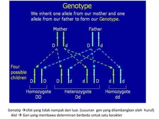 Genetika Dasar.ppt