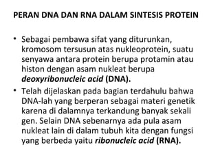 PERAN DNA DAN RNA DALAM SINTESIS PROTEIN
 
• Sebagai pembawa sifat yang diturunkan, 
kromosom tersusun atas nukleoprotein, suatu 
senyawa antara protein berupa protamin atau 
histon dengan asam nukleat berupa 
deoxyribonucleic acid (DNA). 
• Telah dijelaskan pada bagian terdahulu bahwa 
DNA-lah yang berperan sebagai materi genetik 
karena di dalamnya terkandung banyak sekali 
gen. Selain DNA sebenarnya ada pula asam 
nukleat lain di dalam tubuh kita dengan fungsi 
yang berbeda yaitu ribonucleic acid (RNA).
 
