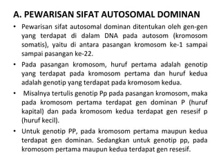 A. PEWARISAN SIFAT AUTOSOMAL DOMINAN
• Pewarisan sifat autosomal dominan ditentukan oleh gen-gen 
yang  terdapat  di  dalam  DNA  pada  autosom  (kromosom 
somatis),  yaitu  di  antara  pasangan  kromosom  ke-1  sampai 
sampai pasangan ke-22. 
• Pada  pasangan  kromosom,  huruf  pertama  adalah  genotip 
yang  terdapat  pada  kromosom  pertama  dan  huruf  kedua 
adalah genotip yang terdapat pada kromosom kedua.
•  Misalnya tertulis genotip Pp pada pasangan kromosom, maka 
pada  kromosom  pertama  terdapat  gen  dominan  P  (huruf 
kapital)  dan  pada  kromosom  kedua  terdapat  gen  resesif  p 
(huruf kecil). 
• Untuk  genotip  PP,  pada  kromosom  pertama  maupun  kedua 
terdapat  gen  dominan.  Sedangkan  untuk  genotip  pp,  pada 
kromosom pertama maupun kedua terdapat gen resesif. 
 