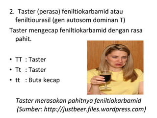 2.  Taster (perasa) feniltiokarbamid atau 
feniltiourasil (gen autosom dominan T)
Taster mengecap feniltiokarbamid dengan rasa 
pahit. 
 
• TT : Taster         
• Tt : Taster      
• tt : Buta kecap
Taster merasakan pahitnya feniltiokarbamid
(Sumber: http://justbeer.files.wordpress.com)
 