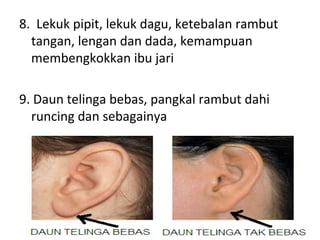 8. Lekuk pipit, lekuk dagu, ketebalan rambut
tangan, lengan dan dada, kemampuan
membengkokkan ibu jari
9. Daun telinga bebas, pangkal rambut dahi
runcing dan sebagainya
 