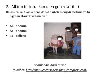 2. Albino (diturunkan oleh gen resesif a)
Dalam hal ini tirosin tidak dapat diubah menjadi melanin yaitu
pigmen atau zat warna kulit.
• AA : normal
• Aa : normal
• aa : albino
Gambar 44. Anak albino
(Sumber: http://naturescrusaders.files.wordpress.com)
 