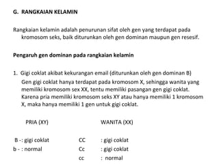 G. RANGKAIAN KELAMIN
Rangkaian kelamin adalah penurunan sifat oleh gen yang terdapat pada
kromosom seks, baik diturunkan oleh gen dominan maupun gen resesif.
Pengaruh gen dominan pada rangkaian kelamin
1. Gigi coklat akibat kekurangan email (diturunkan oleh gen dominan B)
Gen gigi coklat hanya terdapat pada kromosom X, sehingga wanita yang
memiliki kromosom sex XX, tentu memiliki pasangan gen gigi coklat.
Karena pria memiliki kromosom seks XY atau hanya memiliki 1 kromosom
X, maka hanya memiliki 1 gen untuk gigi coklat.
PRIA (XY) WANITA (XX)
B -: gigi coklat CC : gigi coklat
b - : normal Cc : gigi coklat
cc : normal
 