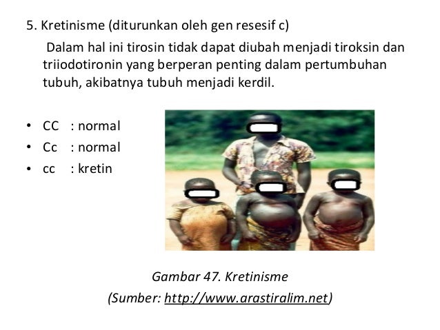 Contoh Jurnal