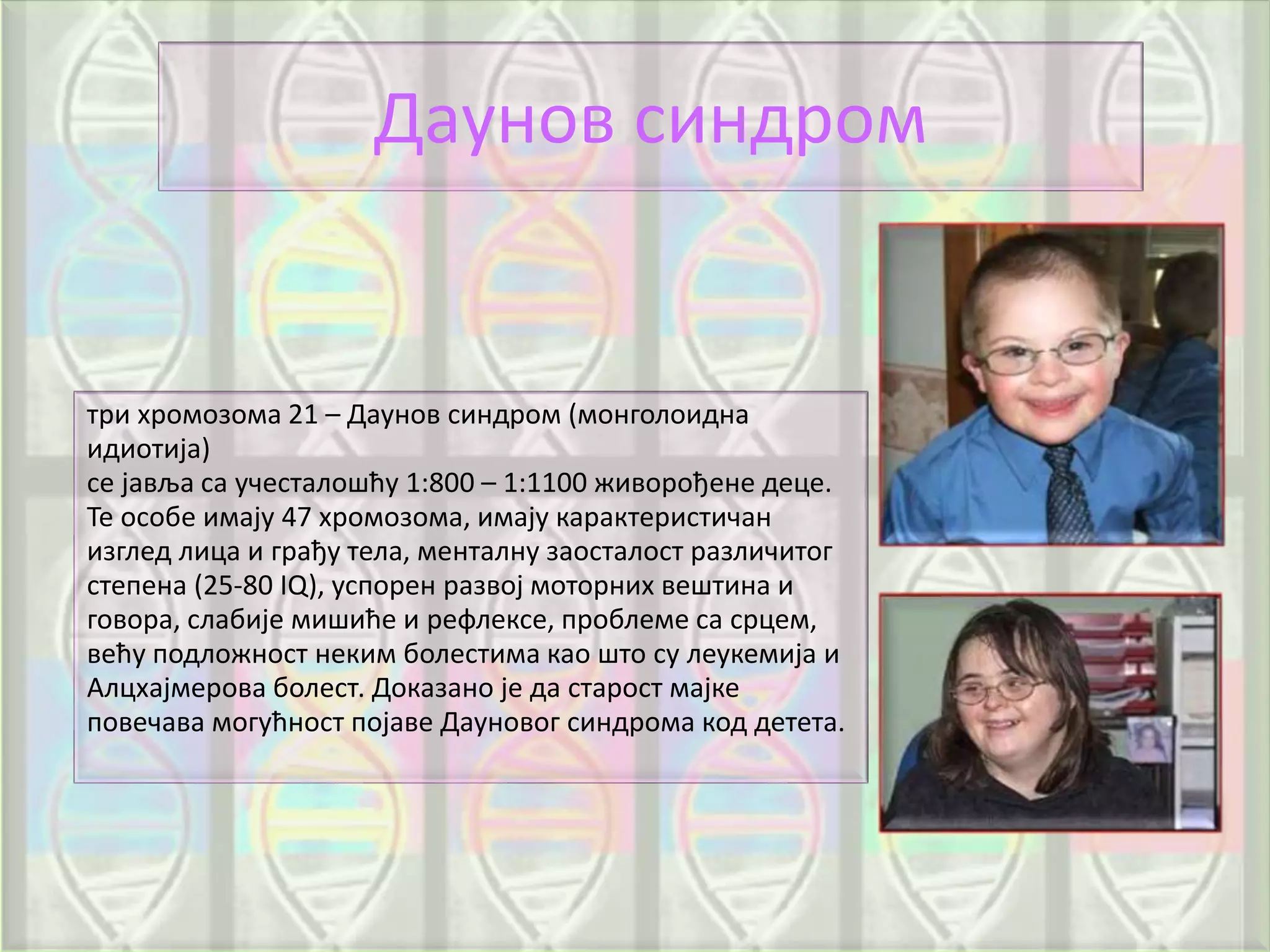 Даунов синдром
три хромозома 21 – Даунов синдром (монголоидна
идиотија)
се јавља са учесталошћу 1:800 – 1:1100 живорођене деце.
Те особе имају 47 хромозома, имају карактеристичан
изглед лица и грађу тела, менталну заосталост различитог
степена (25-80 IQ), успорен развој моторних вештина и
говора, слабије мишиће и рефлексе, проблеме са срцем,
већу подложност неким болестима као што су леукемија и
Алцхајмерова болест. Доказано је да старост мајке
повечава могућност појаве Дауновог синдрома код детета.
 