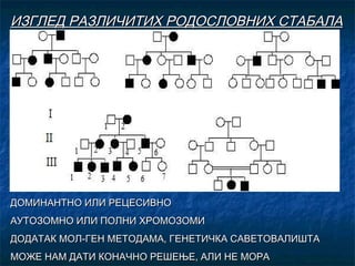 ИЗГЛЕД РАЗЛИЧИТИХ РОДОСЛОВНИХ СТАБАЛА

ДОМИНАНТНО ИЛИ РЕЦЕСИВНО
АУТОЗОМНО ИЛИ ПОЛНИ ХРОМОЗОМИ
ДОДАТАК МОЛ-ГЕН МЕТОДАМА, ГЕНЕТИЧКА САВЕТОВАЛИШТА
МОЖЕ НАМ ДАТИ КОНАЧНО РЕШЕЊЕ, АЛИ НЕ МОРА

 