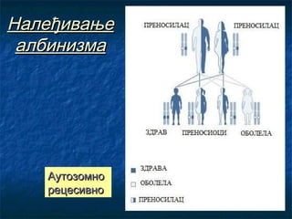 Налеђивање
албинизма

Аутозомно
рецесивно

 