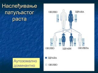 Наслеђивање
патуљастог
раста

Аутозомално
доминантно

 