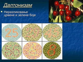 Далтонизам


Неразликовање
црвене и зелене боје

 