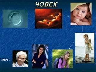 ЧОВЕК

СМРТ

 