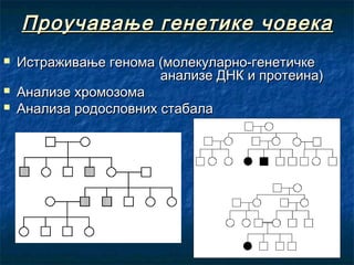 Проучавање генетике човека




Истраживање генома (молекуларно-генетичке
анализе ДНК и протеина)
Анализе хромозома
Анализа родословних стабала

 